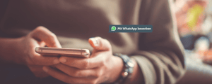 Einstieg ins WhatsApp Interview